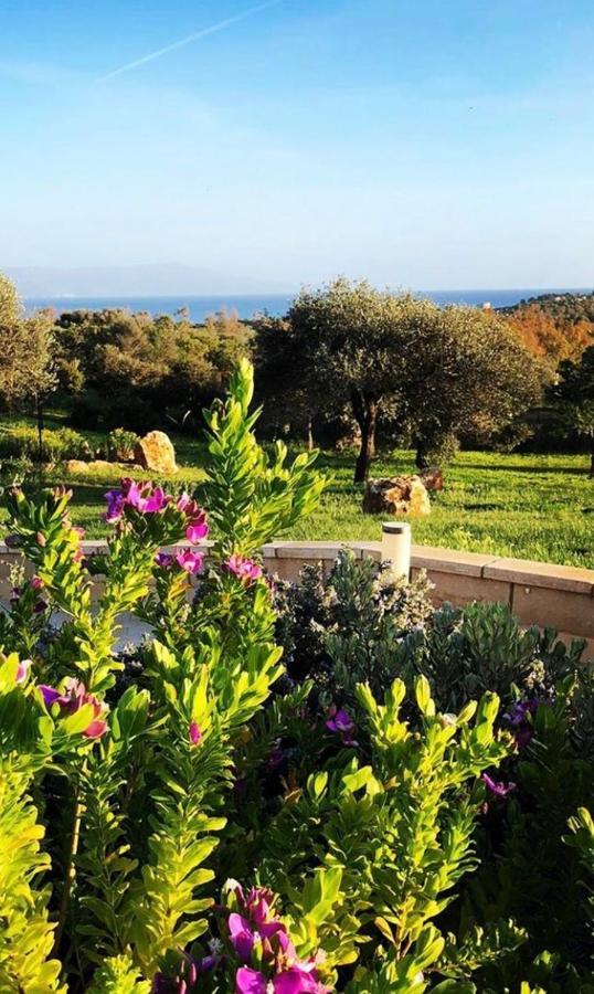 Cala Azul Residence B&B Alghero Eksteriør bilde